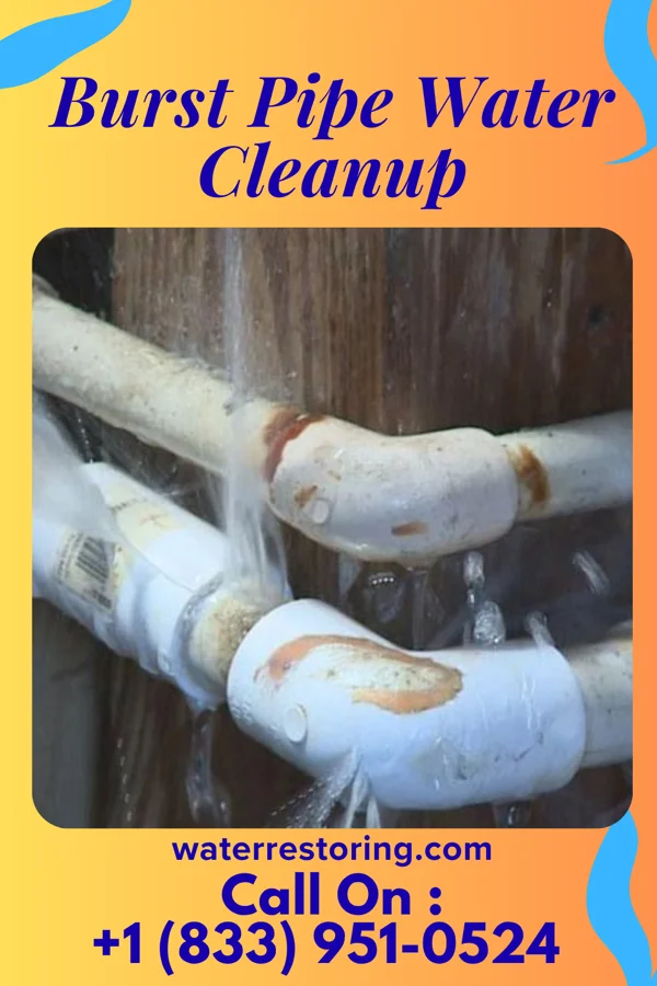 Burst Pipe Water Cleanup in Doctor Phillips, FL
