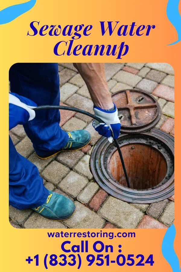Sewage Water Cleanup in Doctor Phillips, FL